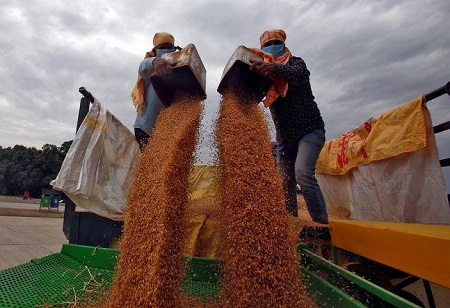 Allana Group comes out as one of India's largest exporters of wheat